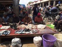 Fish vendors