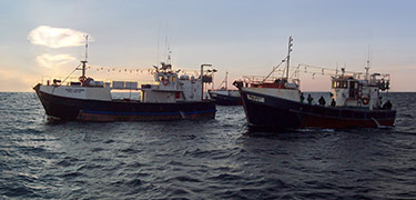 squid boats at sea