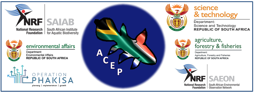 ACEP logo